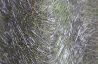 Martock fibreglass roof work